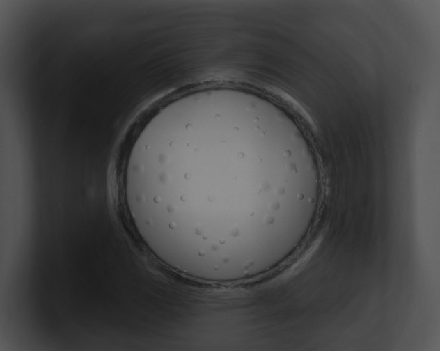 X0000100911117200806241045