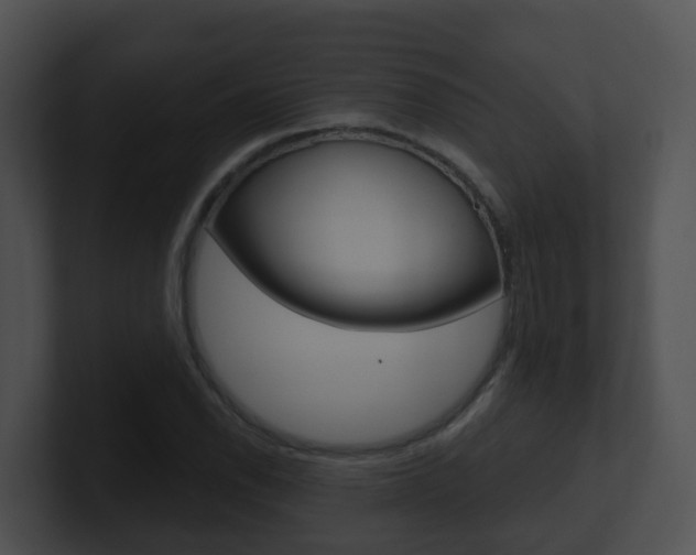 X0000100911118200806241045