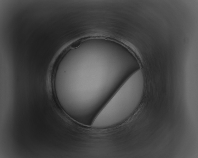 X0000100911120200806241045