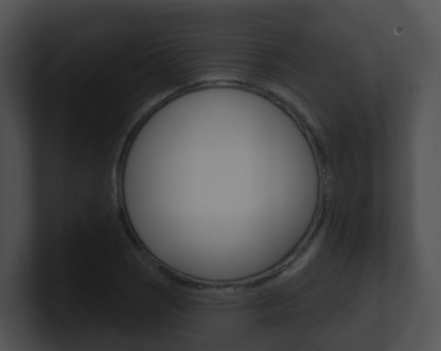 X0000100911121200806241045