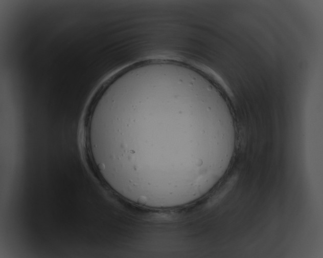 X0000100911125200806241045