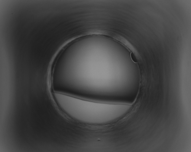 X0000100911132200806241045