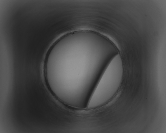 X0000100911134200806241045