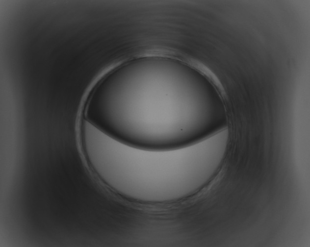 X0000100911138200806241045