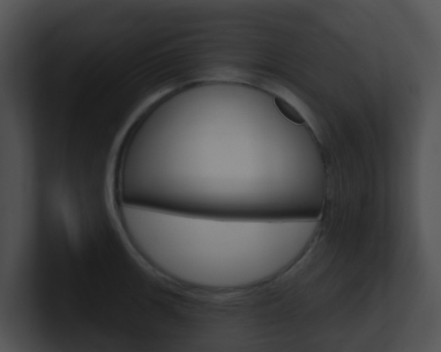 X0000100911139200806241045