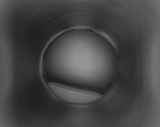 X0000100911140200806241045