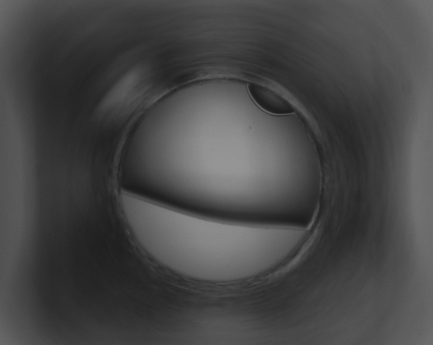 X0000100911145200806241046