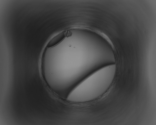 X0000100911146200806241046