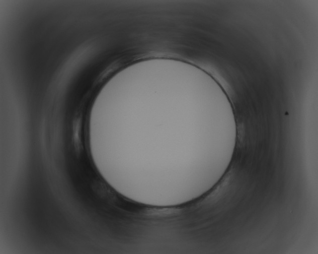 X0000100911150200806241046
