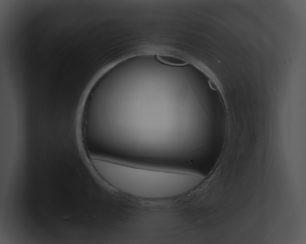 X0000100911152200806241046