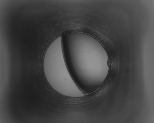 X0000100911156200806241045