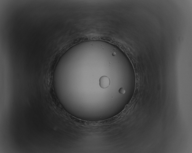 X0000100911157200806241045