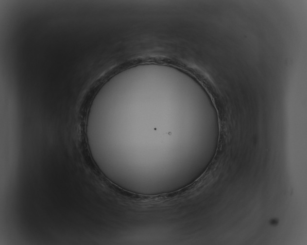 X0000100911159200806241045