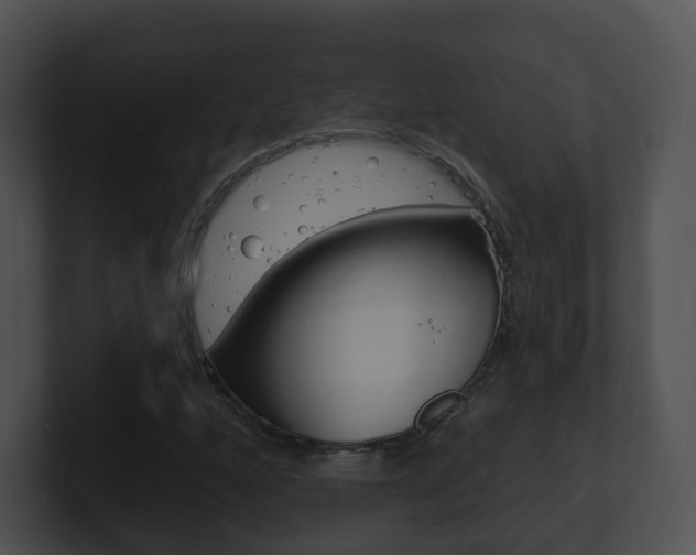 X0000100911160200806241045
