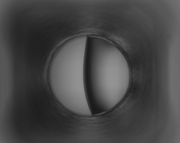 X0000100911164200806241045