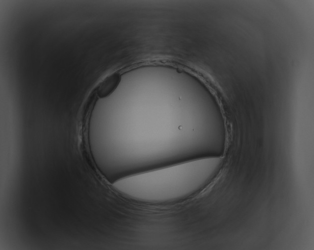X0000100911165200806241045