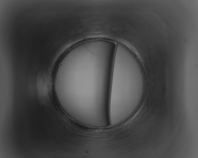X0000100911167200806241045