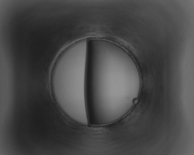 X0000100911168200806241045