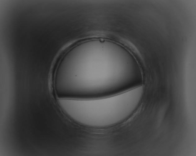 X0000100911172200806241045