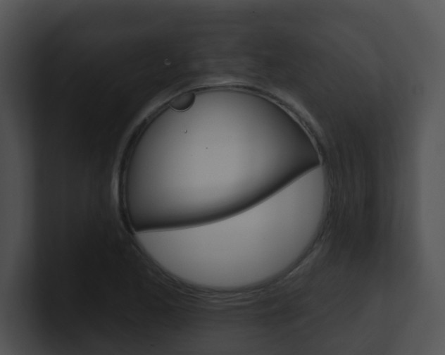X0000100911173200806241045