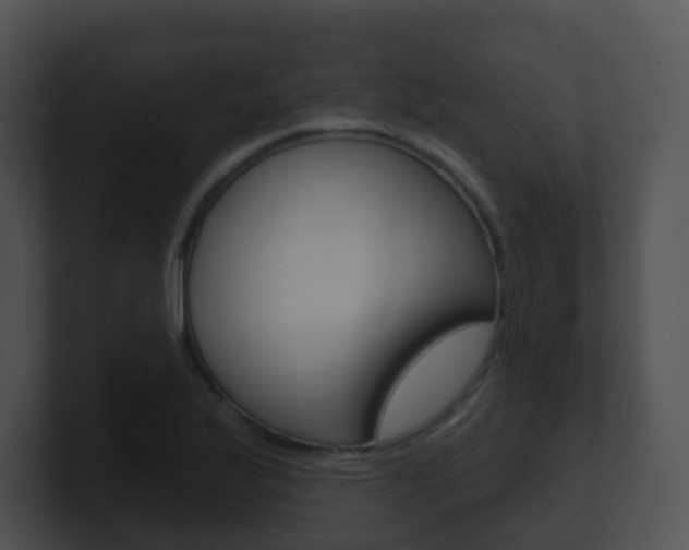 X0000100911175200806241045