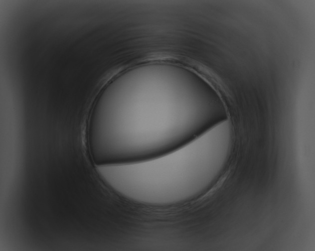 X0000100911177200806241045