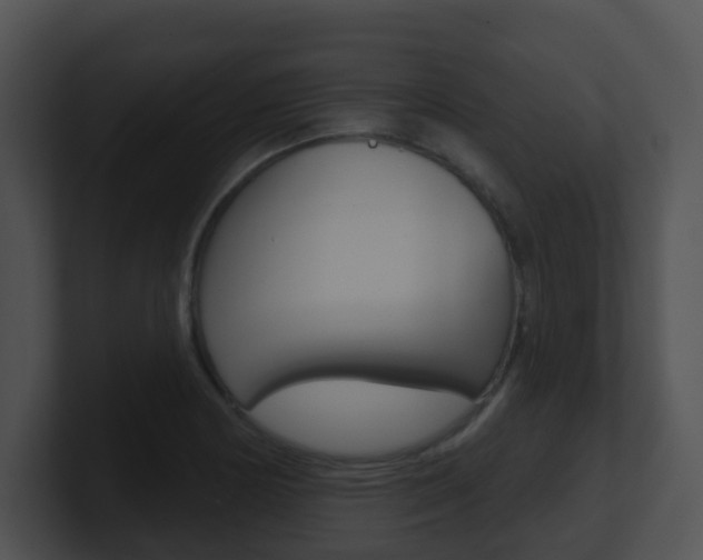 X0000100911178200806241045