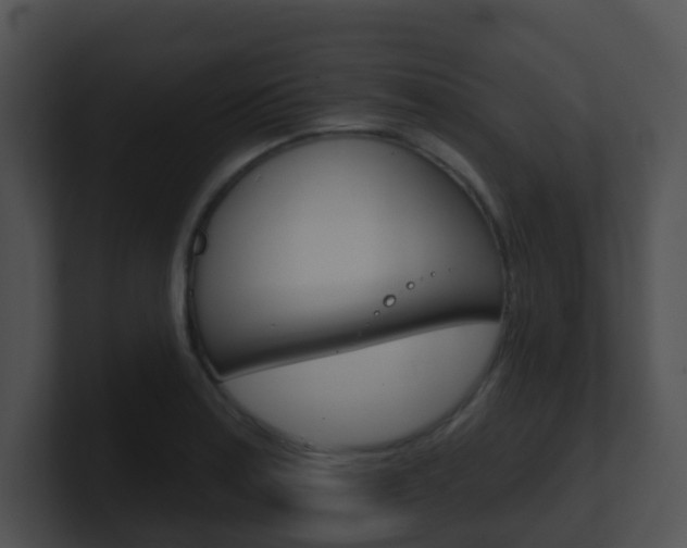 X0000100911179200806241045