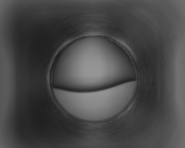 X0000100911181200806241045