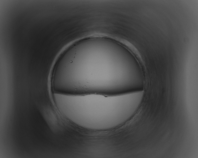 X0000100911183200806241045
