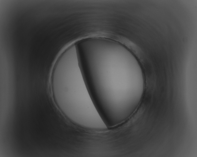 X0000100911184200806241045