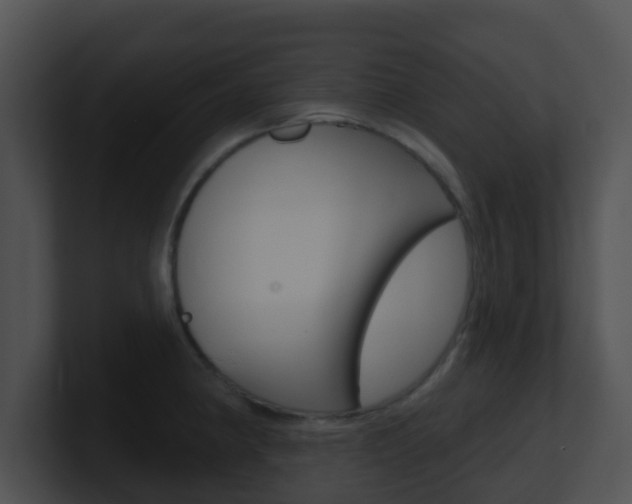 X0000100911190200806241044