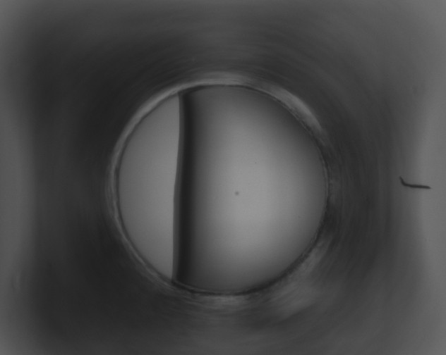 X0000100911192200806241044
