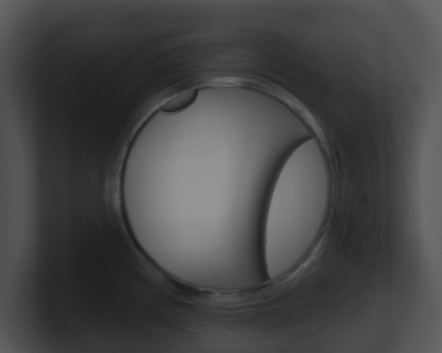 X0000100911194200806241044