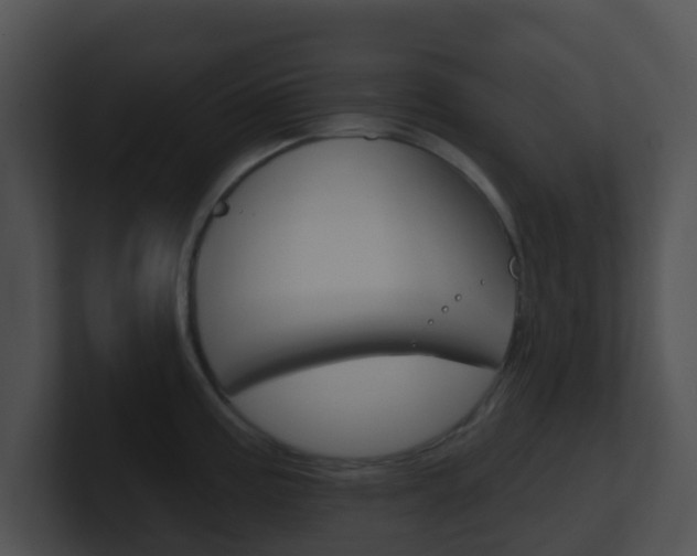 X0000100911195200806241044