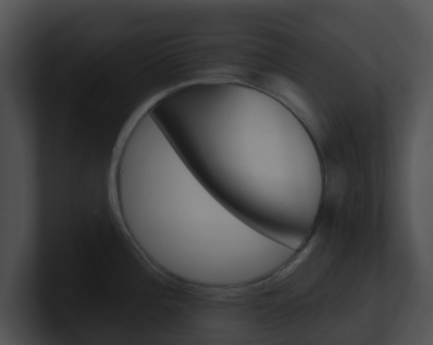 X0000100911196200806241044