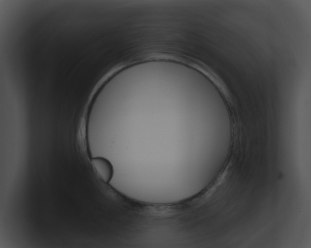 X0000100911198200806241044