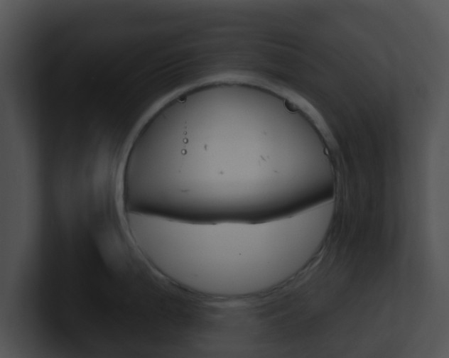 X0000100911199200806241044