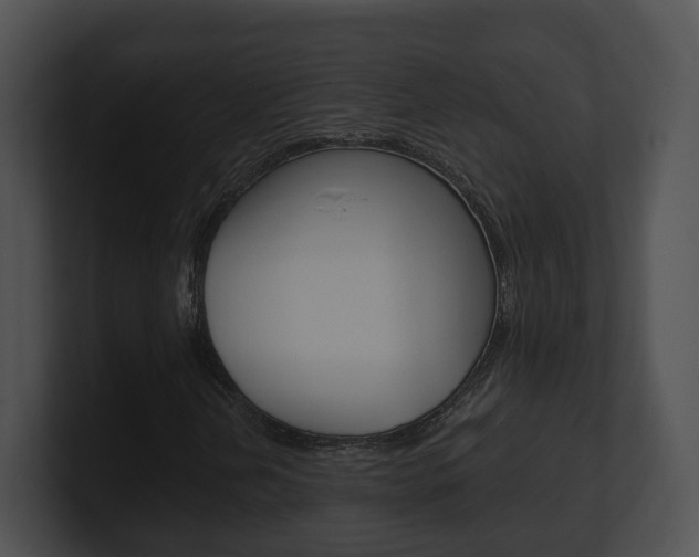 X0000100911202200806241044