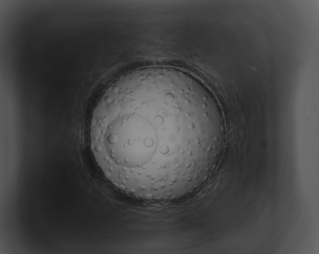 X0000100911205200806241044