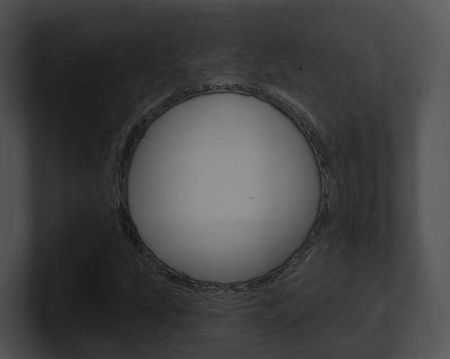 X0000100911207200806241044
