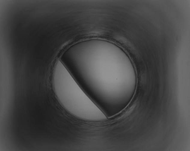 X0000100911210200806241044