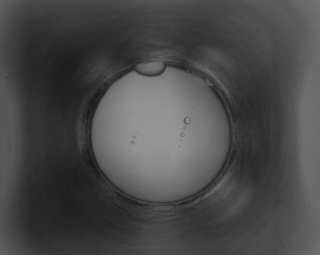 X0000100911211200806241044