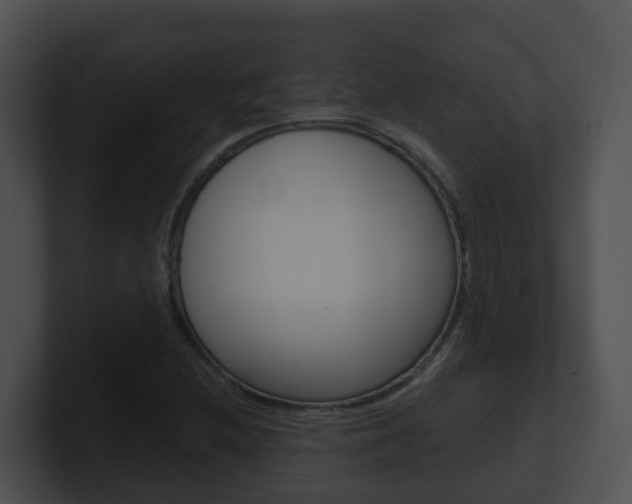 X0000100911212200806241044