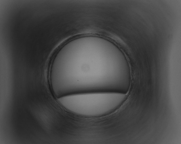 X0000100911216200806241044