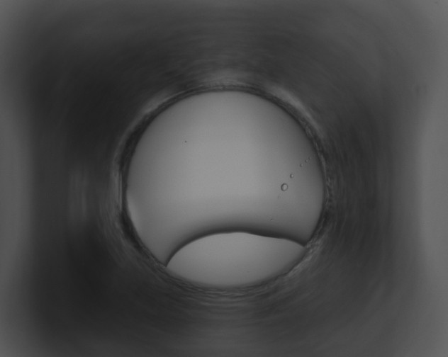 X0000100911219200806241044