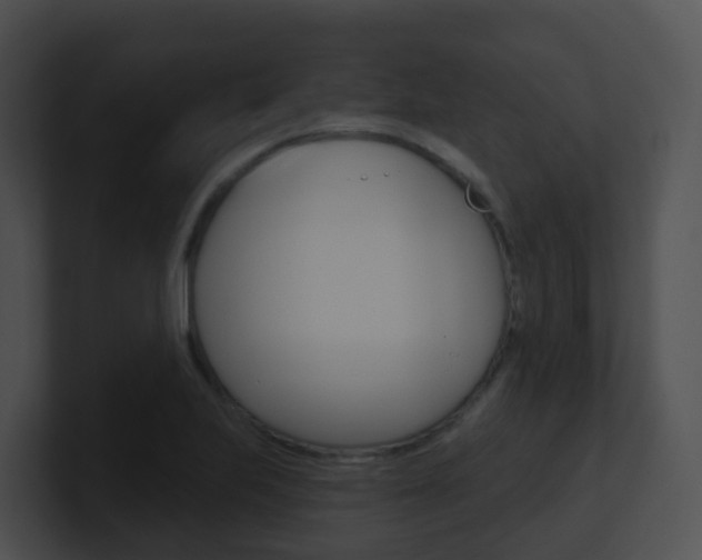 X0000100911223200806241044