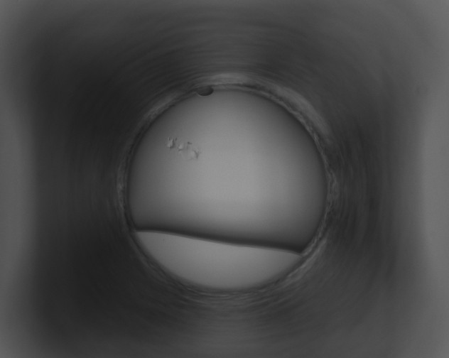 X0000100911225200806241044