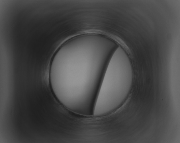 X0000100911228200806241044