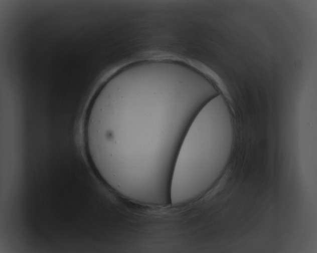 X0000100911231200806241044